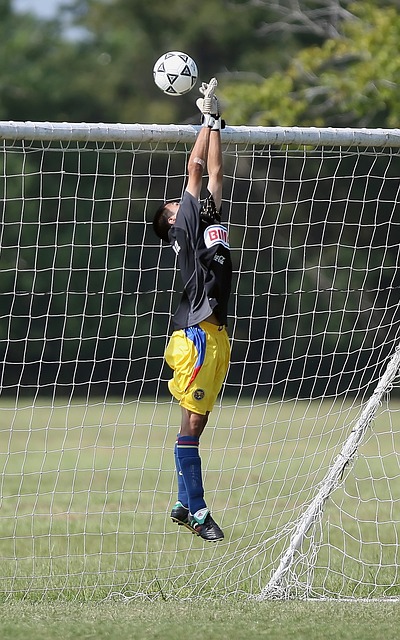 如极限飞盘 如极限飞盘