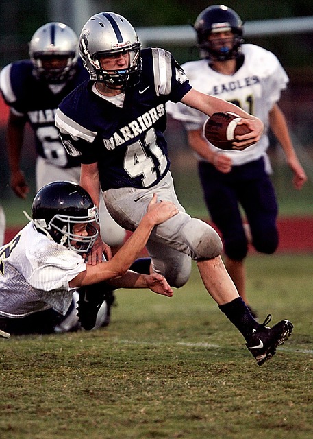 哈兰德与皇 哈兰德与皇